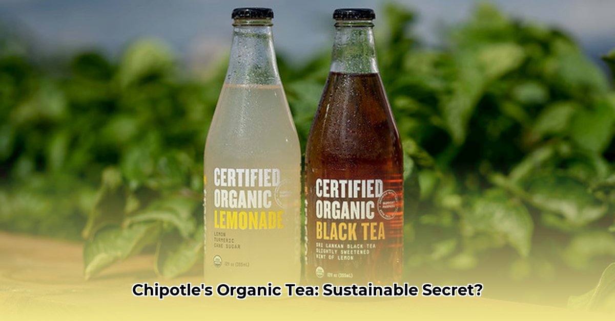 tractor-organic-black-tea-chipotle